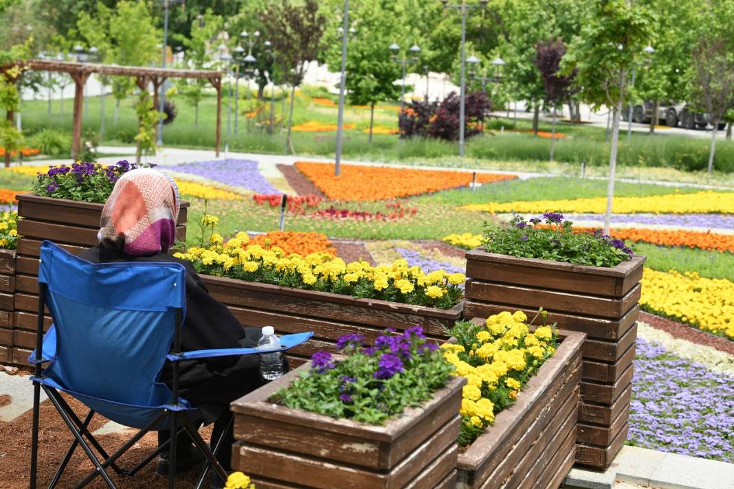 1,8 milyon çiçek, açtı: İşte göz kamaştıran Konya park ve caddeleri 3